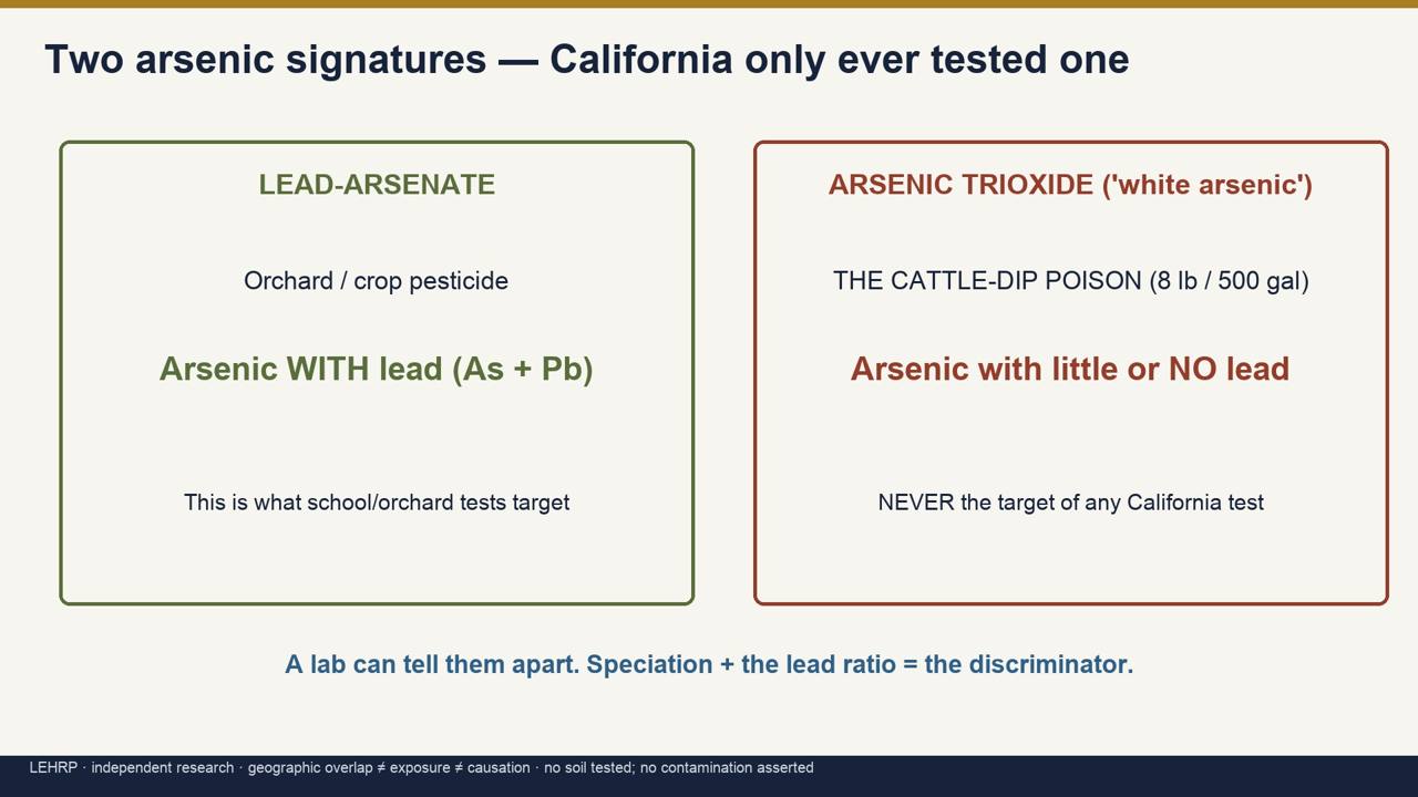 B5_two_arsenics.jpg